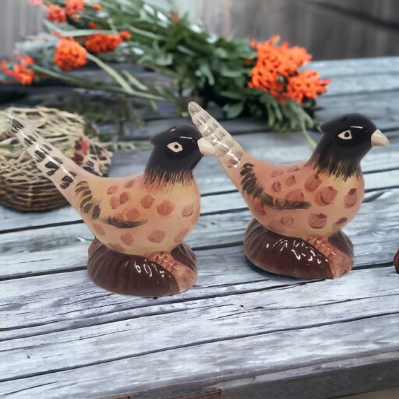 Pheasant Salt & Pepper Shakers - Ceramic - Hand Painted - Picture 6 of 7